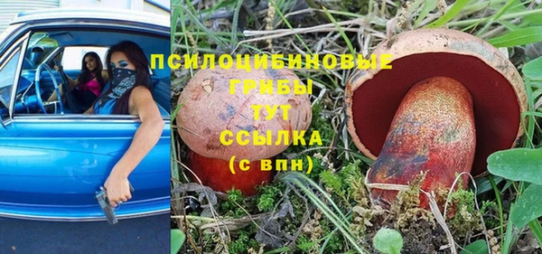 бутират Баксан